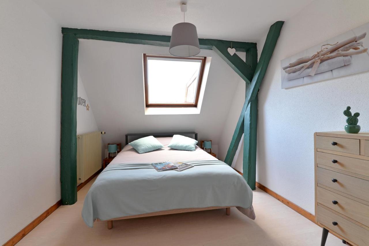Appartement La Grande Terrasse Du Centre Colmar Ngoại thất bức ảnh