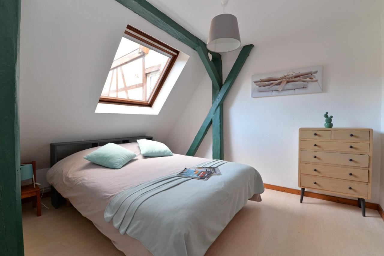 Appartement La Grande Terrasse Du Centre Colmar Ngoại thất bức ảnh