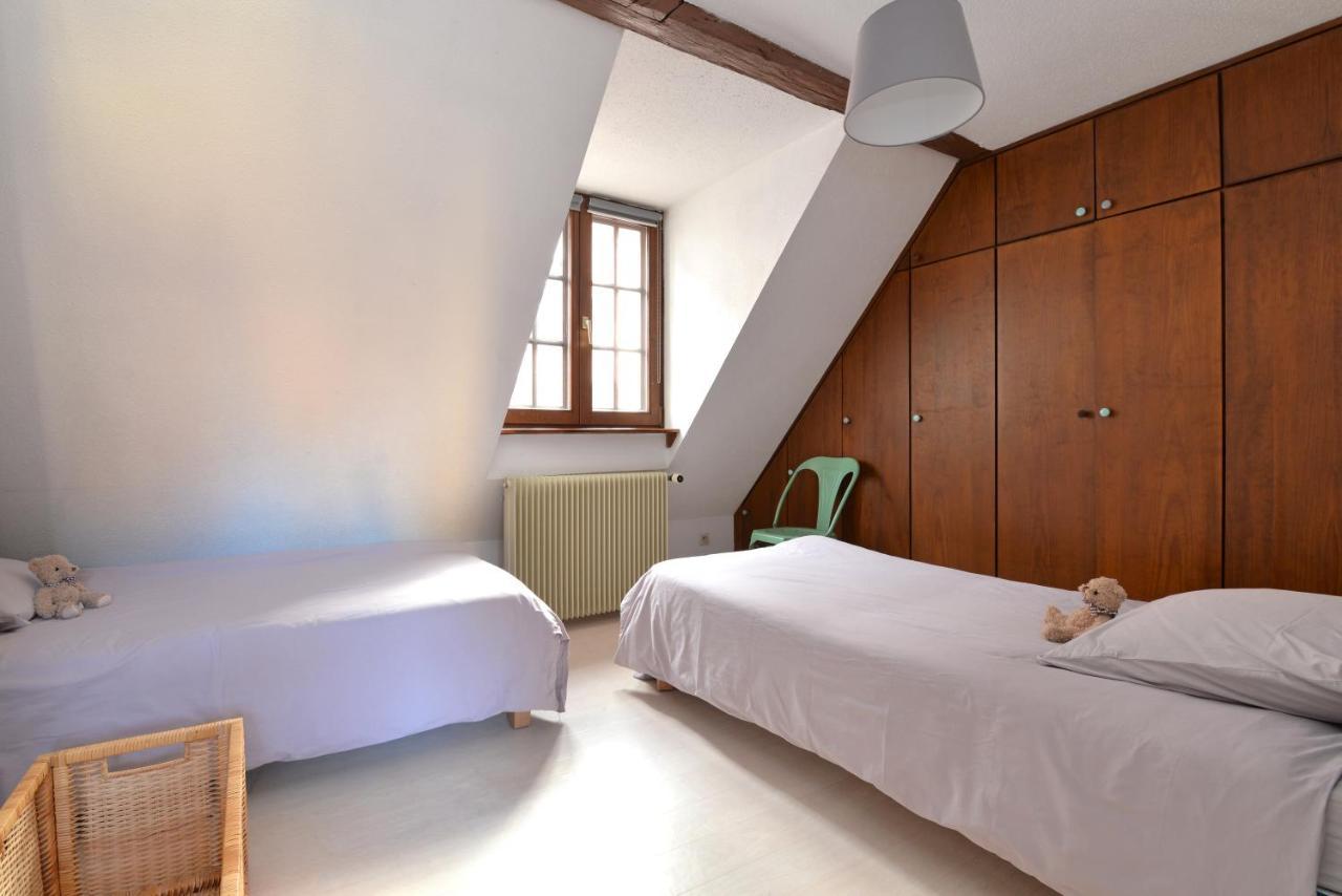 Appartement La Grande Terrasse Du Centre Colmar Ngoại thất bức ảnh